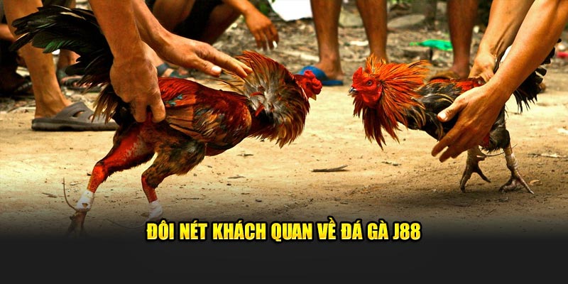 Đôi nét khách quan về đá gà J88